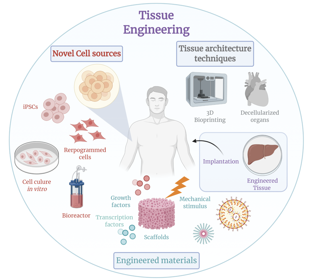 3D Bioprinting – Technology: Where It Started And Where It’s Going