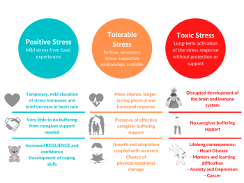 Toxic Stress And Resilience – Caregiver Awareness: Identifying At-Risk ...