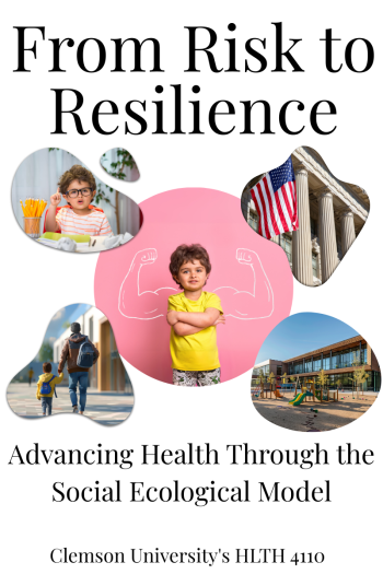 Cover image for From Risk to Resilience: Advancing Health Through the Social Ecological Model