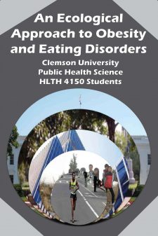 An Ecological Approach to Obesity and Eating Disorders book cover